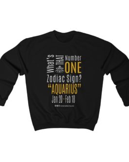 What’s That Number One Zodiac Sign? Aquarius | Black Premium Unisex Heavy Blend™ Sweatshirt | Gold Print | 2022 Collection