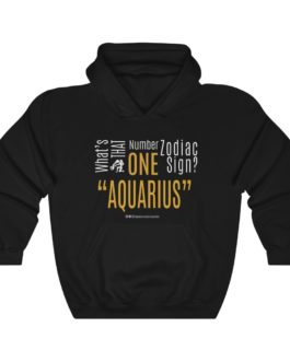 What’s That Number One Zodiac Sign? Aquarius | Black Premium Unisex Heavy Blend™ Hooded Sweatshirt | Gold Print | 2022 Collection