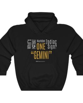 What’s That Number One Zodiac Sign? Gemini | Black Premium Unisex Heavy Blend™ Hooded Sweatshirt | Gold Print | 2022 Collection