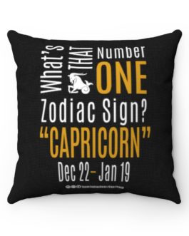 What’s That Number One Zodiac Sign? Capricorn | Black Accent Throw Pillows | Gold Print | 2022 Collection